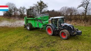 Spreading manure on grassland | Claas Arion 650 // New Joskin Tornado 3 Horizon | Luxembourg 2025