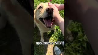 биостанция МГУ #shorts#врек#эстетика#биофак#МГУ#vlog#учеба#врек#биология