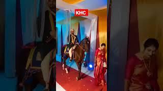 Kathiyawadi horse in marriage #kathiyawadihorse #horse #marwarihorse #devayatkhavad #fuleku