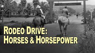 Rodeo Drive: Horses & Horsepower - Beverly Hills Historical Society