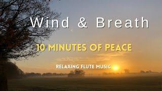 Experience Pure Serenity: 10-Minute Flute Meditation
