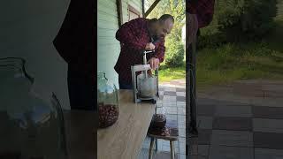 Отжимаем финики прессом, можно отжать любую настойку, очень удобно #пресс #лайфхак  #настойки