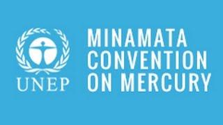 Dr. Lisa Matrise: Australians for Mercury Free Dentistry - Minamata Convention on Mercury