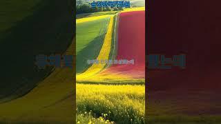 순천에 대한민국 제1호 국가정원.............#AI영상#풍경#AI#여행가볼만한곳#바다#AI쇼츠#해변#차박#원차박#여행#산#순천만국가정원