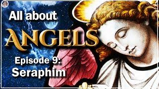 What are the Seraphim?