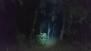 Livestreaming di makam paling berhantu  kuntilanak nya jelas banget