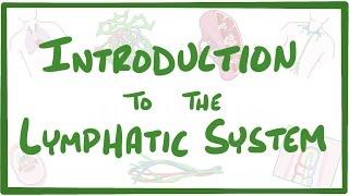 Introduction to the Lymphatic System