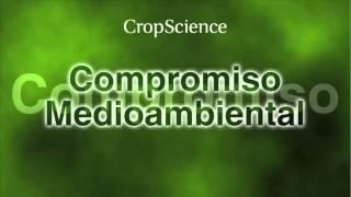 Innovación Bayer CropScience Región Andina