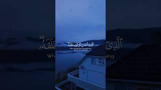 Beautiful recitation of Quran in Abdul Rehman Mossad's voice  #quranrecitation #viralvideo #shorts