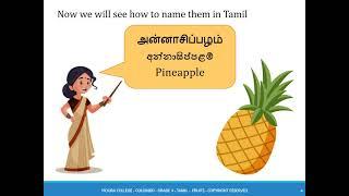 Grade 4   Tamil   1st Term   5  Fruits