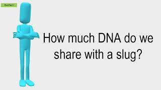 How Much DNA Do We Share With A Slug?