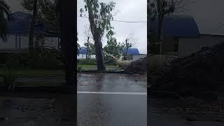 ЭТО КАТАСТРОФА  АБХАЗИЯ Что натворил УРАГАН и ШТОРМ? #абхазия