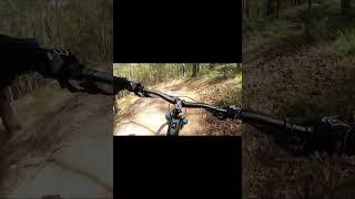 Nerang xmas day. Casuarina Long Loop. Flowy goodness  #mtb #emtblife #specializedbikes #mtblovers