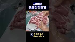[알디자동화] 급식형통목살절단기