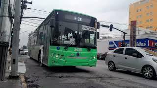 Ruta Directa 206 #3438