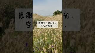 每日感恩句｜女人越感恩，越幸福