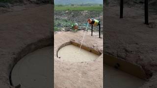 innovative bird trap #youtube