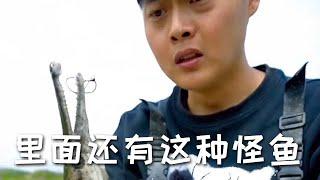 【戶外捕魚vlog】在大叔家混養魚塘裏用漂流瓶釣魚，沒想到裏面還有這種怪魚…#三農 #抓魚 #農村生活