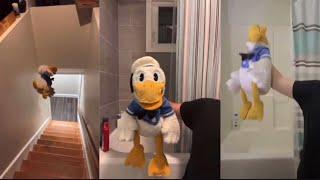Donald Duck FUNNIEST TikToks Of 2022 That Will Make You LAUGH! (DONT LAUGH CHALLENGE)