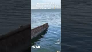 12 мая 2022 г.