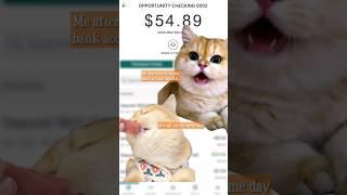 Me after checking my bank account balance. #money #cat #pet #funny #bank #saving #monday #app