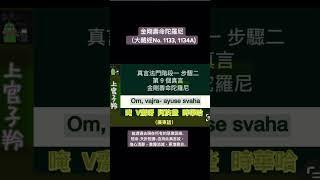 金剛壽命陀羅尼 (2025/06/16) #佛法 #真言宗 #廣東話譯音 #dharari