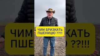 У ФЕРМЕРА НА ПОЛІ ЯКИЙ ГЕРБІЦИД НА ПШЕНИЦЮ ?