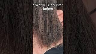 탄머리 한방에 복구하기