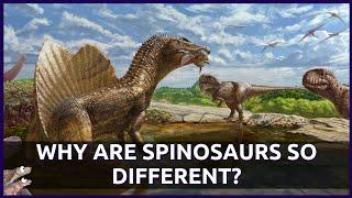 Why are Spinosaurs So Different From Other Dinosaurs? (New Species: Riojavenatrix lacustris)