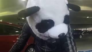 Moto Loot Panda Helmet cover!! Yamaha R1