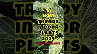 Most trendy indoor plants in 2024 / easy care houseplants #short #houseplants #love #trend