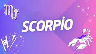 Card Reading: Scorpio September 2024