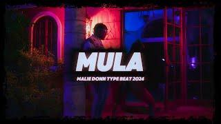 Trap Dancehall Instrumental 2024 - Mula (@prodtreybeats)