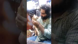 Daily Shop inspection #billu #music #cat #rap #song #rapper #petlover #pets