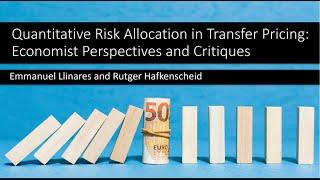 Quantitative Risk Allocation in Transfer Pricing: Economist Perspectives and Critiques