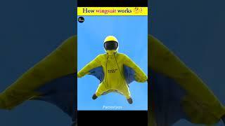 How Does a ️Wingsuit Work? | Explained in 3D Animation | Factriyon.