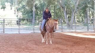 Spooky horses learn to be spooky