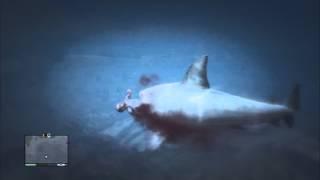 GTA V - 03 - Unsafe Swimming Yields Rewards