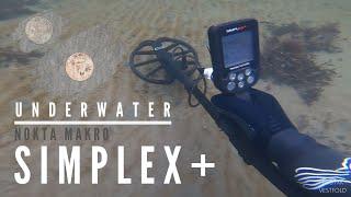 Nokta Makro Simplex+ DOES IT WORK IN SEAWATER? Metal Detecting Underwater