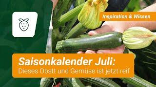 Saisonkalender: Dieses Obst und Gemüse ist im Juli reif