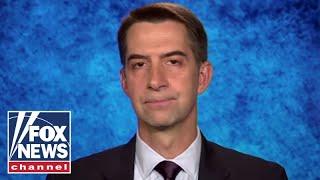 'This is crazy': Cotton calls for probe of Democrat ballot scandal