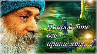 Только 24 часа спокойствия и отстранения, и Вы станете другим человеком. Бхагван Шри Раджниш (Ошо)