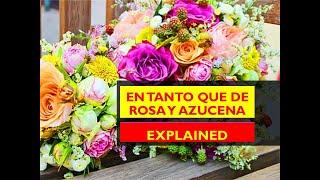 En tanto que de roza y azucena: Explained