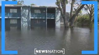 ‘Gators, stingrays, snakes’: Floridians urged to avoid floodwaters | NewsNation Now