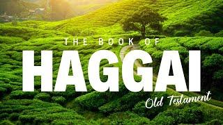 The Book of Haggai | Old Testament | Daily Bible Reading | Divine Discourse TV