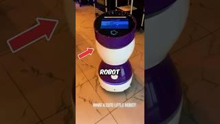 Japan’s Talking Robot 