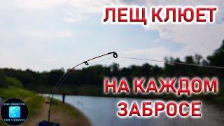 ЛЕЩ НА ФИДЕР клюет на каждом забросе!Рыбалка на леща летом