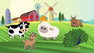 BOL Animals [Farm Animals] #animalsounds #asmr #kidsvideo