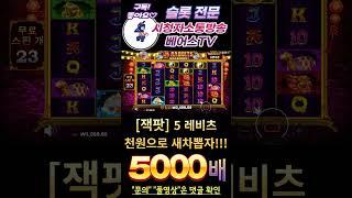 [슬롯][슬롯머신] 5 래빗츠 메가웨이즈천원으로 새차뽑자!!! 한방에 5000배 win !!! (시청자 제보영상) #shorts #슬롯 #슬롯머신 #프라그마틱 #슬롯베어스