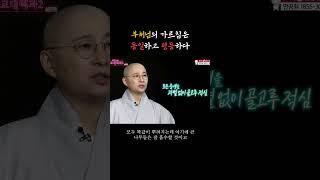 법화사상의 근본인 법화경을 초목의 비유로 설법하는 이유#불교대백과 #원영스님 #법화사상 #법화경